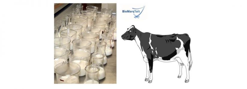 INRAE © Adapté de Leduc et al.