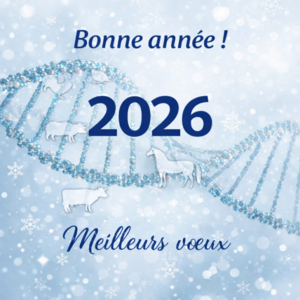 Voeux2026_GABI.png