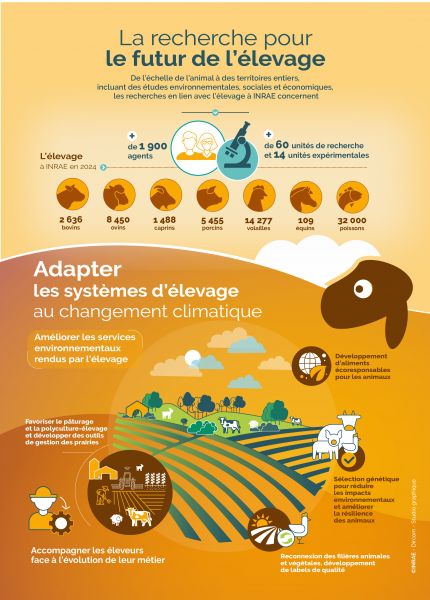 Elevage infographie INRAE