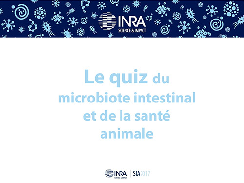 Quiz du microbiote intestinal et de la sélection animale