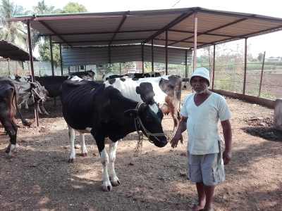 Laboratoire International Associé GIMIC (Genetic IMprovement of Indian Cattle and buffaloes) 