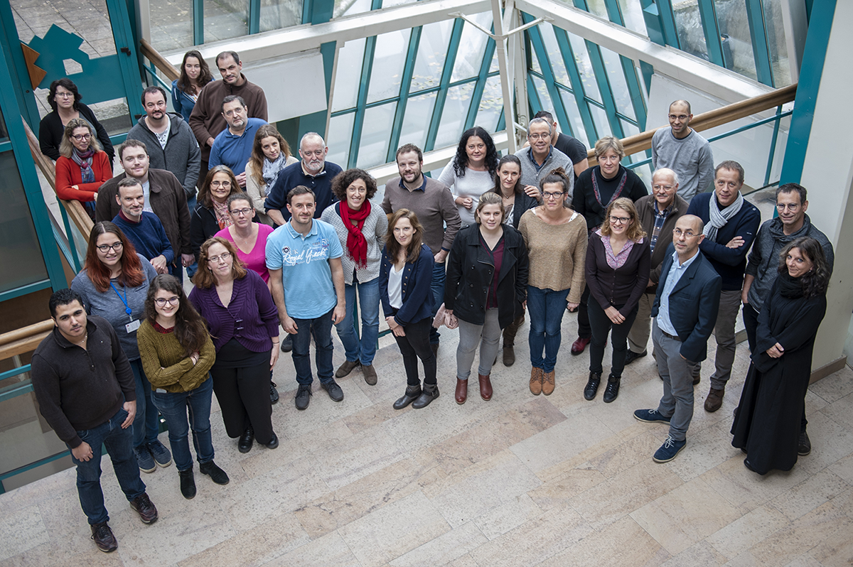 Photo de groupe des équipes associés au Laurier Impact de la recherche agronomique 2018. Jouy-en-Josas, Yvelines (78), 15 novembre 2018.	© Bertrand NICOLAS - Inra, NICOLAS Bertrand 