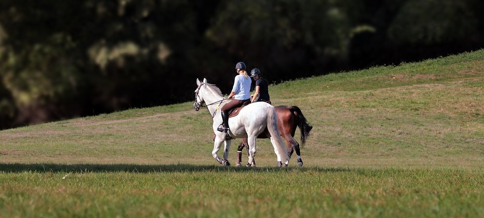 ride-3788373_960_720