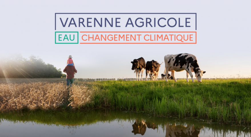 Quelle contribution de la sélection génétique pour l’adaptation de l’agriculture au changement climatique ?